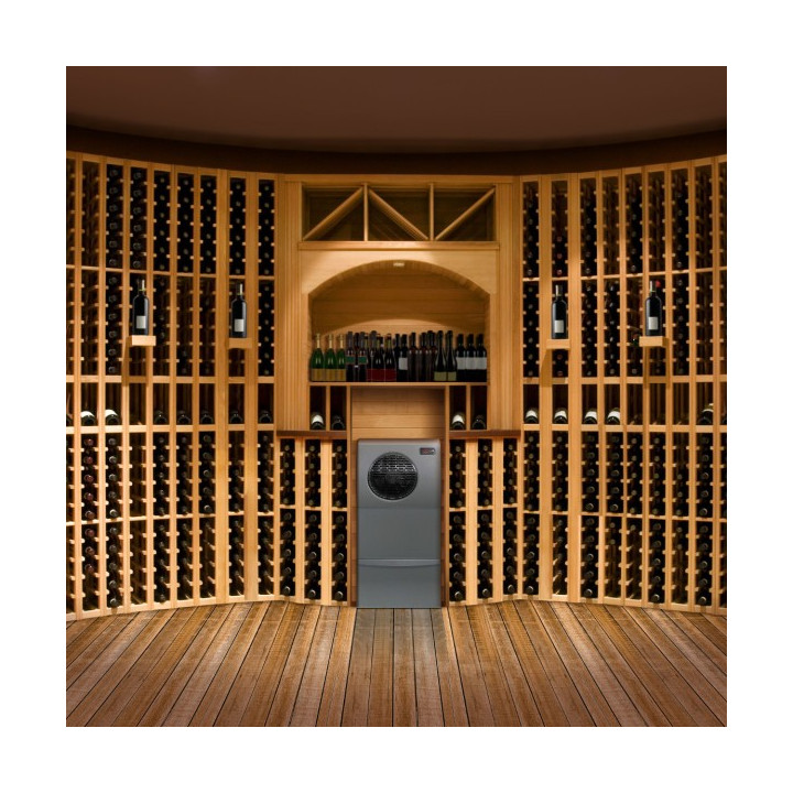Wine IN50+